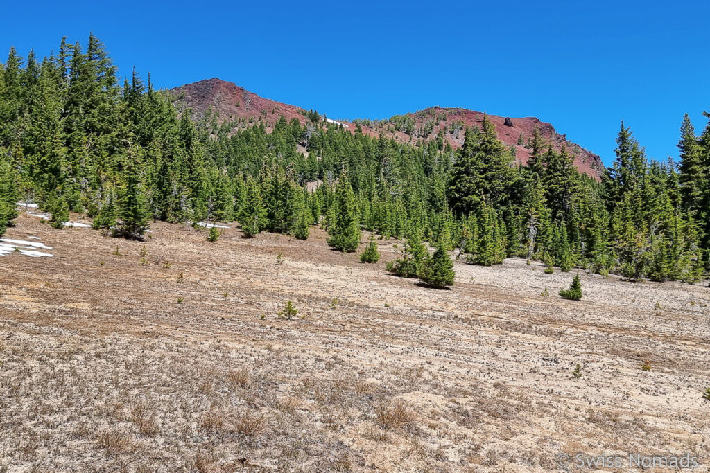 PCT in Oregon