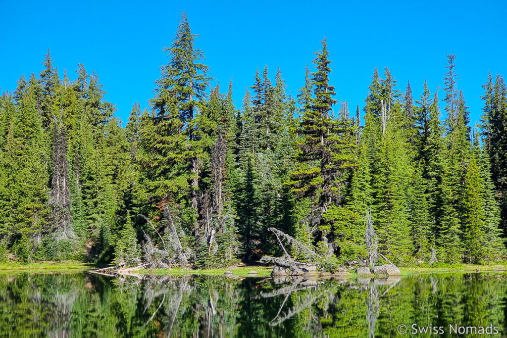 Reflektion im See in Oregon