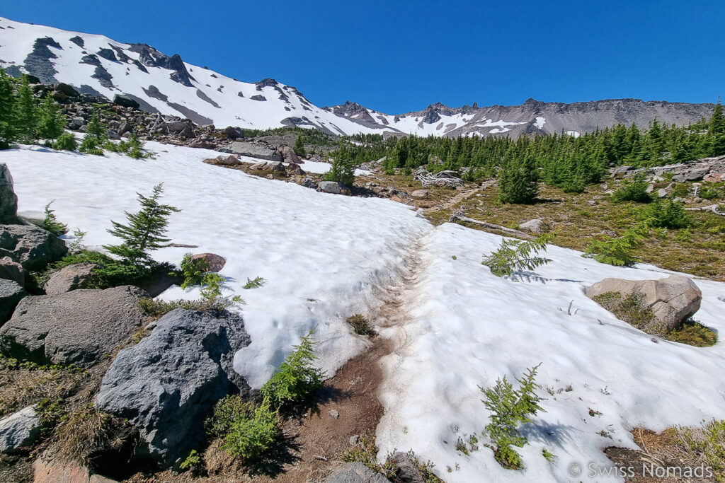 Schneefeld PCT Oregon