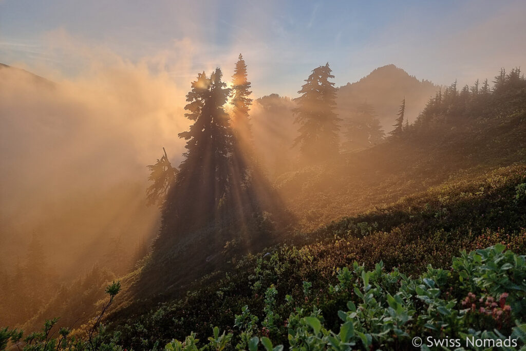 Sonne im Nebel