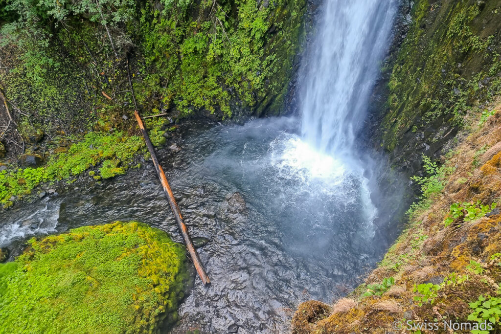 Tunnel Falls am Eagle Creek in Oregon