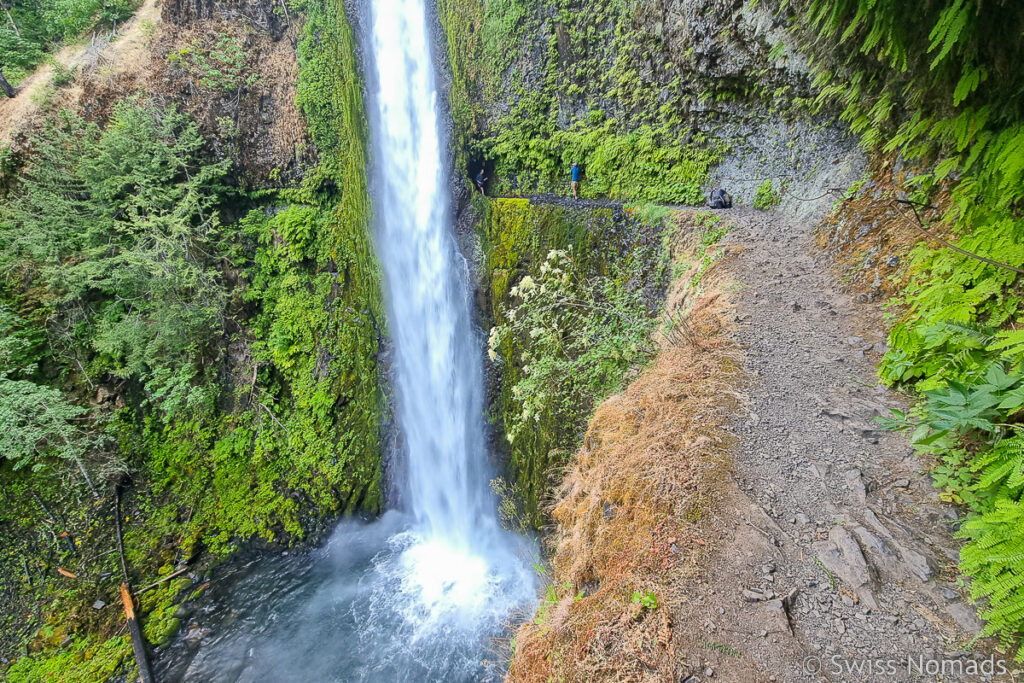 Tunnel Wasserfall in Oregon am PCT