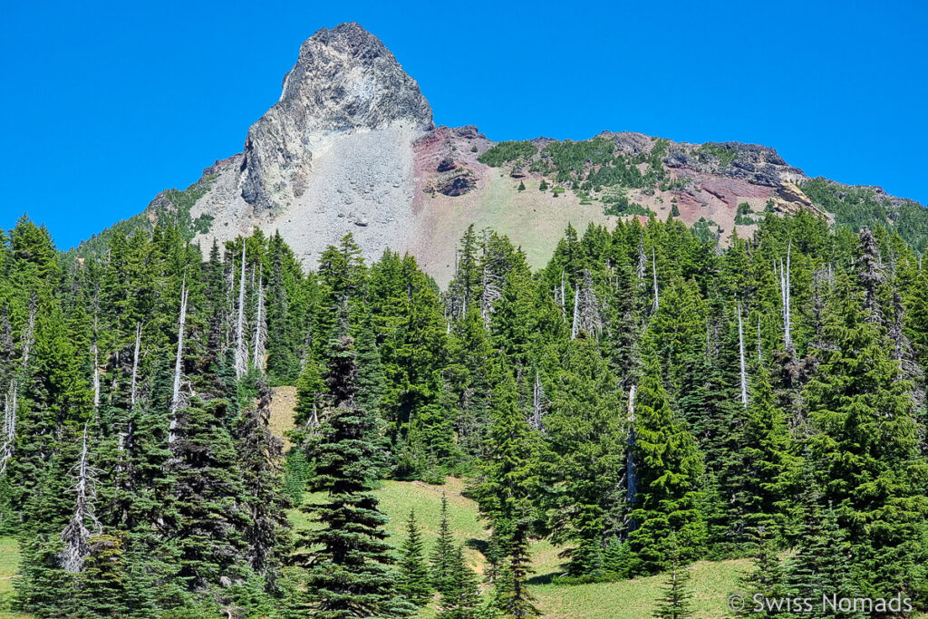 Berglandschaft mit Wald in Oregon