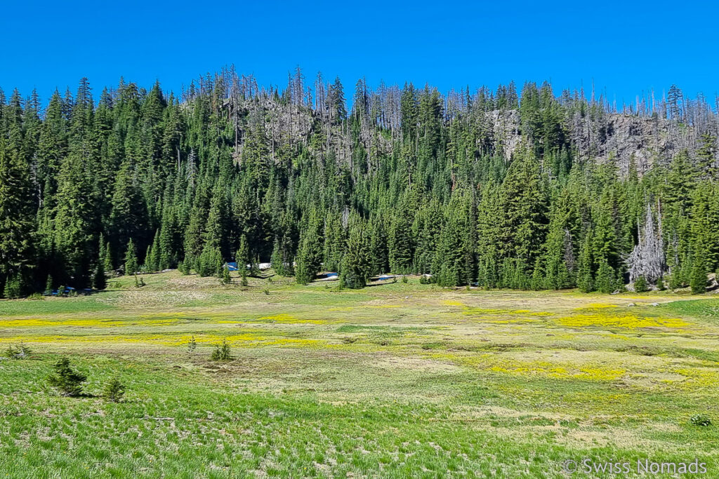 Weidelandschaft in Oregon