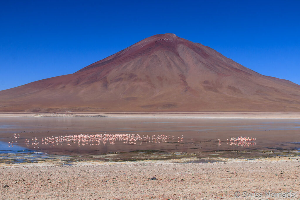 Laguna Blanca auf der Lagunenroute Bolivien