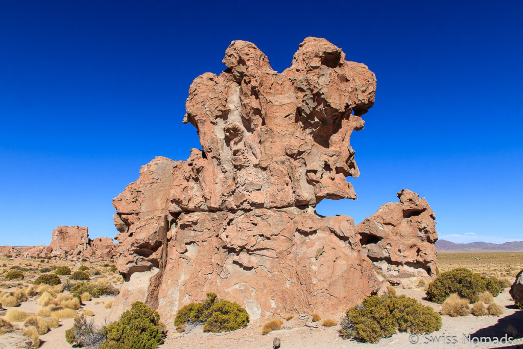 Valle de las Rocas in Bolivien