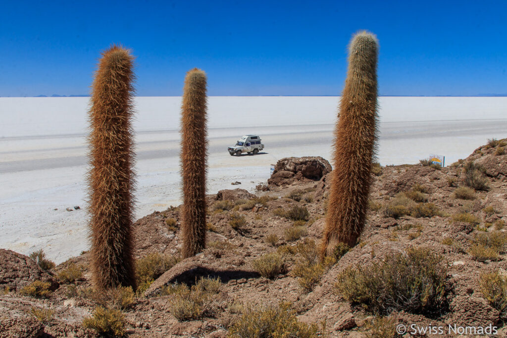 Insel Incahuasi im Salar de Uyuni