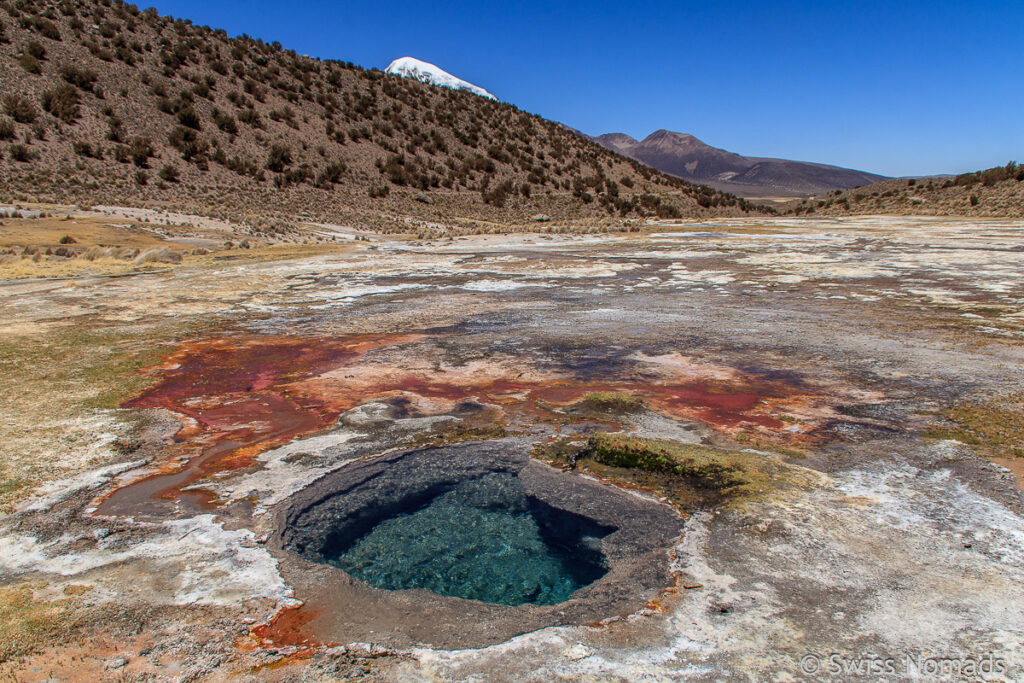 Heisse Quellen im Sajama Nationalpark