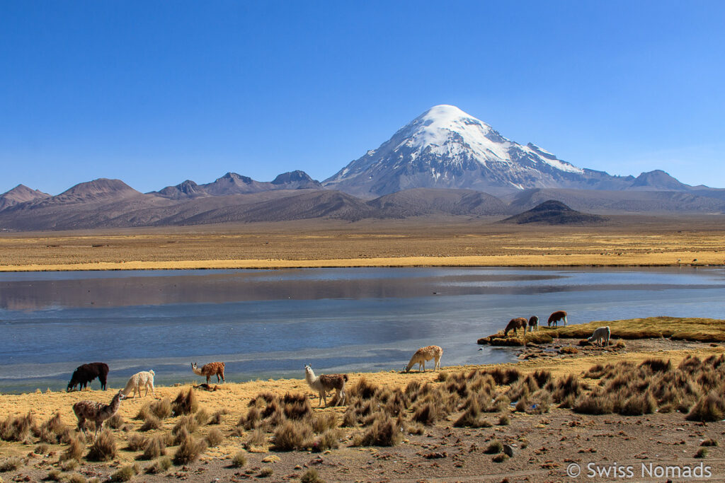 Lagune in Bolivien zur Grenze nach Chile