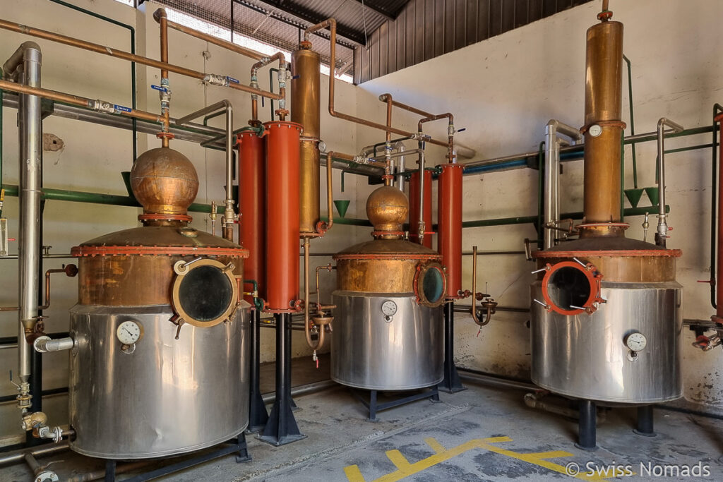 Pisco Mistral Destillerie in Elqui