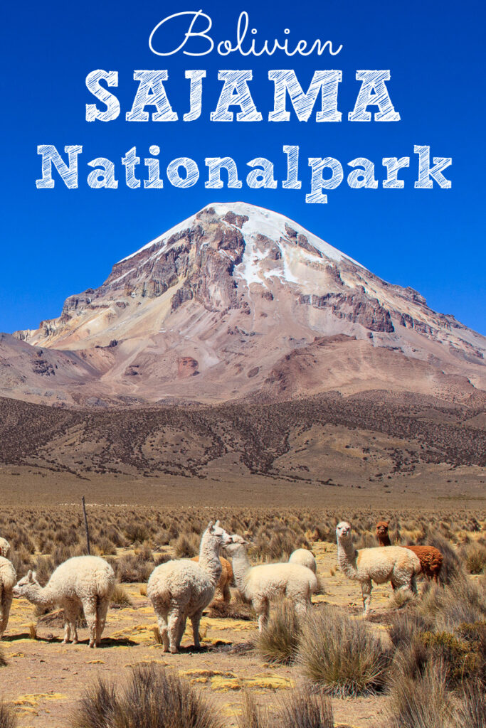 Sajama Nationalpark in Bolivien