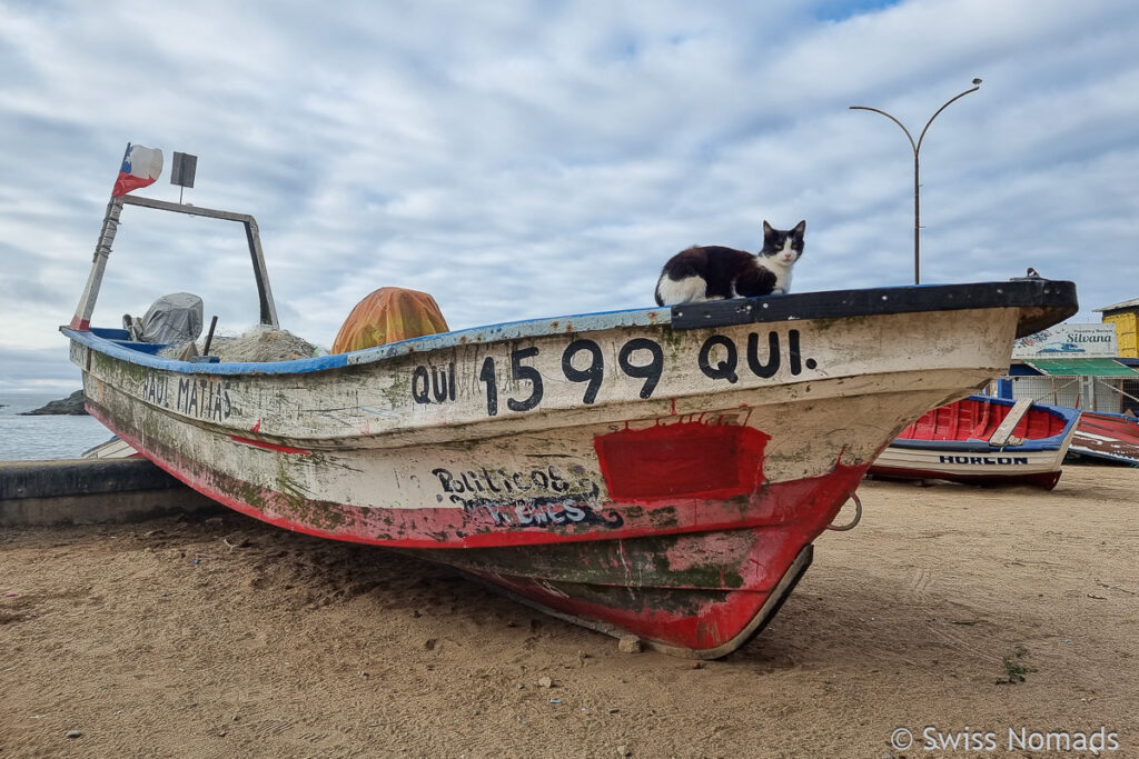 Fischerboot in Horcon