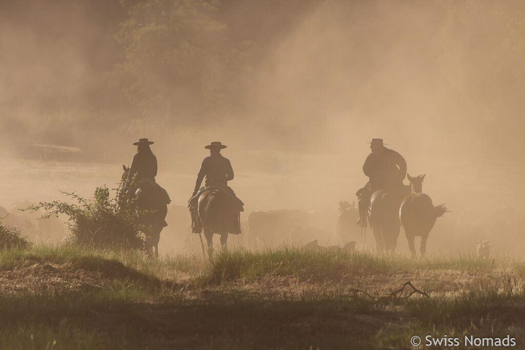 Gauchos am Rio Claro in Zentralchile