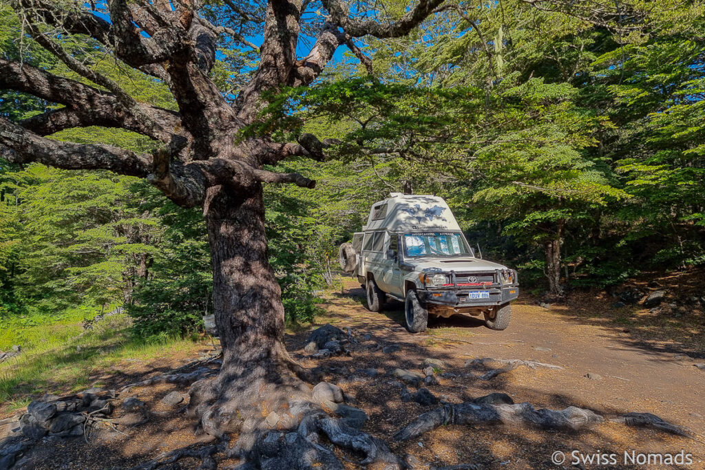 Vor Conguillio Nationalpark Kleiner Süden Chile