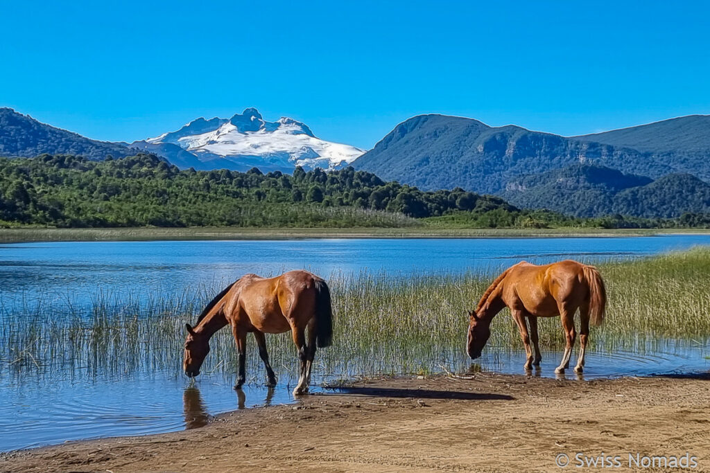 Lago Hess im Nahuel Huapi Nationalpark