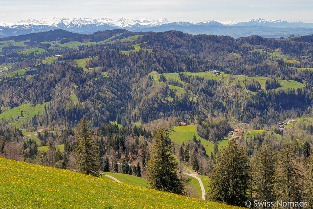 Aussicht vom Hörnli wandern in der Schweiz