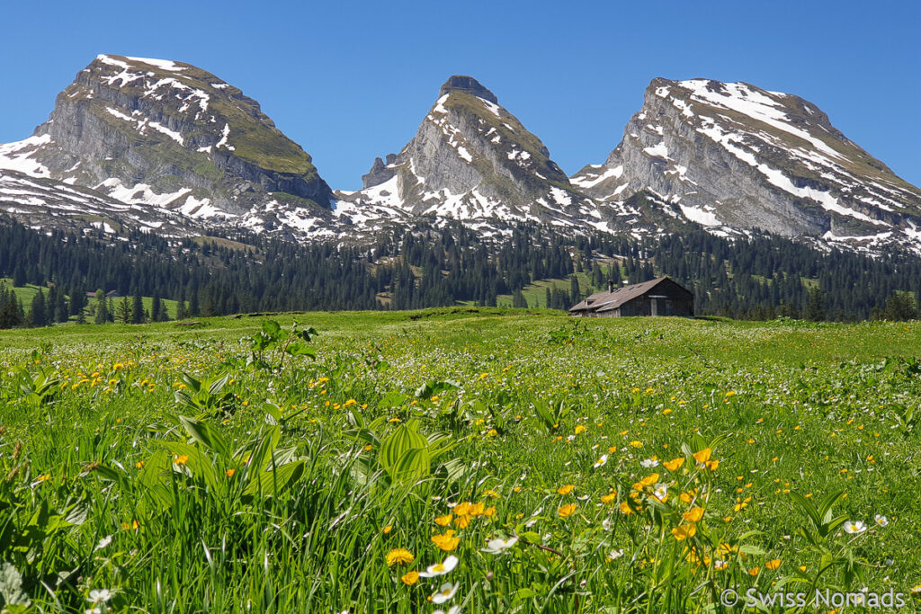 10 schöne Wanderungen in der Schweiz Toggenburger Hohenweg